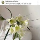 정한스크린레드 | 웨딩부케 <오르네먼트> 계약후기/ 촬영부케 패키지10만원대!(메인,서브,부토니에,잔꽃)/ <짝꿍코드마감>