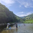 지리산 대경캠핑장 - B, C사이트 솔직 후기 장단점