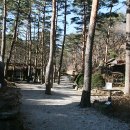 중앙2사슴 이미지