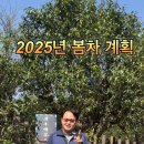 대운차향 이미지