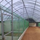 동물보육원 이미지