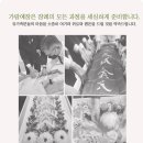 가람의전 - 동구 동서대로1653번길 90 | 가람의전