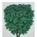 강아지잔칫집 이미지