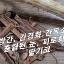 큰나무약국 이미지