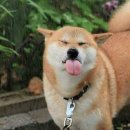 마리원관광농원캠핑장 이미지