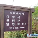 청대사 이미지