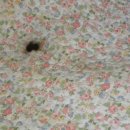 우림생활과학 이미지