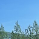 디테일링케이(Detailing K) | 2025 K-디테일링 샤인페스타 방문후기!
