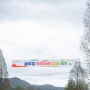 2025 고씨에프 가야하는 이유 캠핑페스티벌 가평 자라섬 봄맞이캠핑