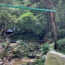 금순이농장 | 강원도 횡성 애견동반 가능한 노을맛집 캠핑장 노섬브리아