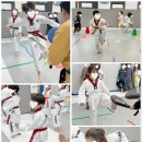 행복한 나라찬 태권도장 이미지