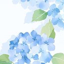 269 창작동네_아침 사유의 좋은 시_8월의 선정_수국이 피었다_박선순 이미지