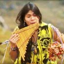 깊은 울림이 있는 팬플릇 이미지