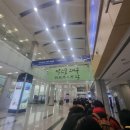 선산분홍복숭아 | 대구 막걸리 엑스포 막스포오프런후기