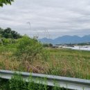 이어도공인중개사사무소 이미지