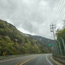 고바우펜션2 이미지