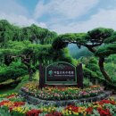 [돌고래여행사] 10월25일(토)~26일(일) 한탄강 주상절리길 + 동화나라 남이섬 꽉찬 1박2일 여행 이미지