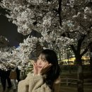 랜더스치과의원 이미지