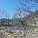 옥호2리 이미지