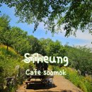 시흥 산골수목원 카페 수목 솔직후기 | 8개월 아기랑 주차 전쟁 피하는 황금 시간대 방문기