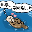 한눈에반함