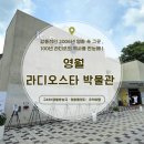 영월 라디오스타박물관 총정리! 아이가 좋아하는 4가지 이색체험과 방문 팁