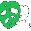 림미장원