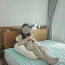 임산부 바디필로우 추천 문피스 U자형 바디필로우 후기