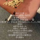 엄마딸짬지삶아졋다고좋땟다고존나울음ㅠ.twt 이미지