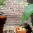 재미나 농장 이미지