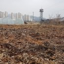 엄마네텃밭 양주로스팅