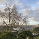 두솔아이 | [포르투갈 6박 7일 여행] 4일차 - 리스본으로, 리스본 전망, 상 조르조 성, 마지막 모루정원