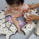 주식회사 아이센스 | [맘스홀릭/(주)달곰이] 깨끗하고 안전한 달곰이 러블리 프리미엄 물티슈와 한장씩 쏙!쏙! 매일 함께해요