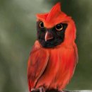 새들