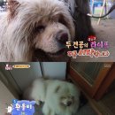 환웅농장 이미지