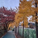 창동교 화장실 네이버블로그