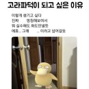 여름 방학 몰아보기