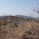 고흥야채 - 고흥군 시장길 1 | 고흥야채
