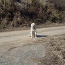 옥종불소유황천 이미지