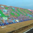 오투오션1 이미지