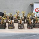 구평동 행정복지센터 이미지