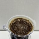 라고 아술(Lago Azul) | 피코크 리미티드 로스트 #13 : 코스타리카 볼칸 아줄 내추럴 리뷰