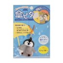 그린카사 이미지