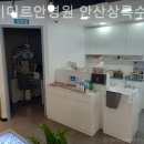 아이미르 이미지