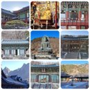 천수천안자비나눔의집 | 설악산 천년 고찰 신흥사 속초 여행 가볼만한곳