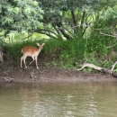 등대마을사할린 | 소야 (宗谷) 버스 투어