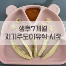 냠냠이유식 | [냠냠이유식] 생후7개월 자기주도이유식 시작하다.