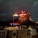 히트성인게임장 | 2021년 12월, 디즈니월드 여행 (feat. INTJ) - 5. 테마파크별 어트랙션(놀이기구) 전체 리스트 정리...