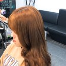 비비헤어비스 이미지