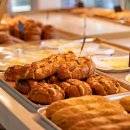 베스트 애견 이미지